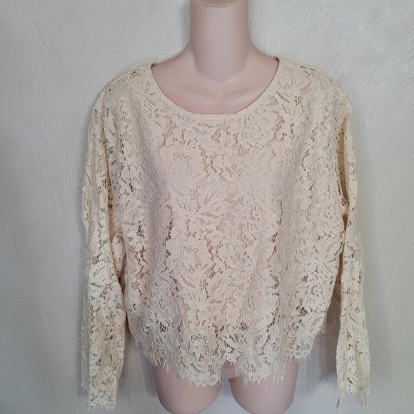 Chiciris Beige Short Sleeve Sexy Sheer Mesh Lace Crop Top Blouse Size Women 2X - Picture 6 of 11
